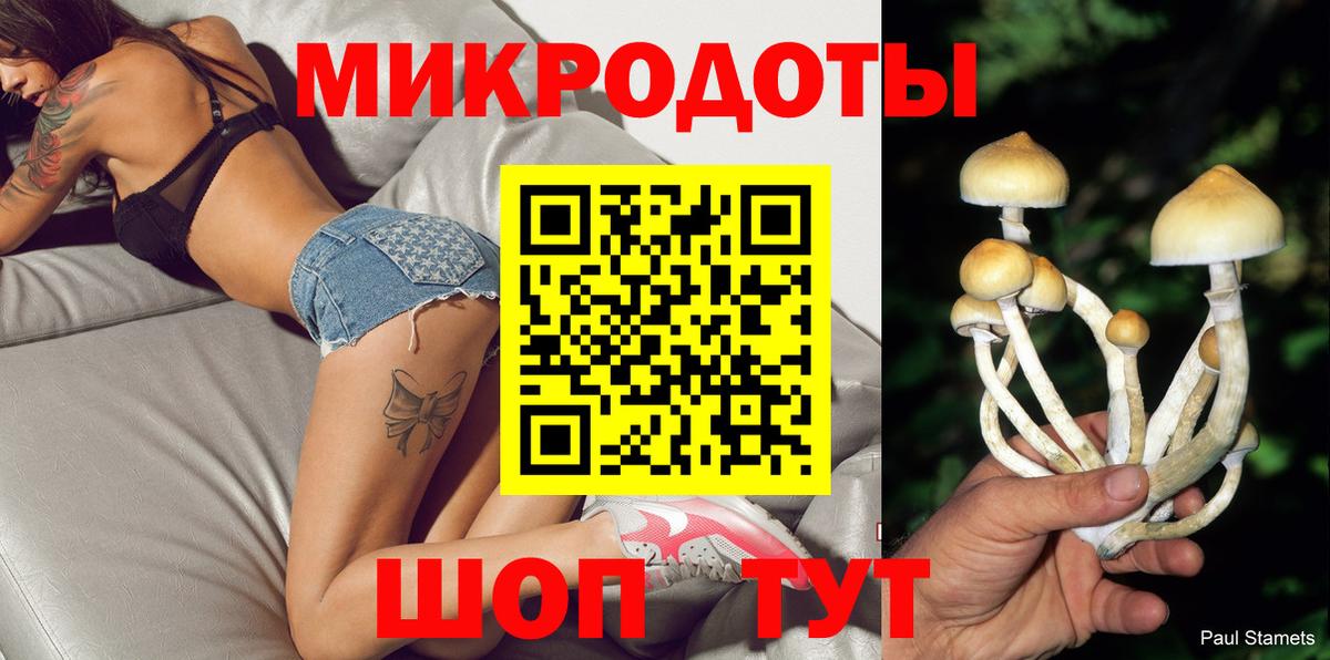 Новозыбков  Галлюциногенные грибы GOLDEN TEACHER  Вход с VPN 
