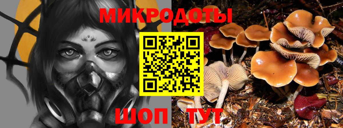 Псилоцибиновые грибы MAGIC MUSHROOMS Новозыбков